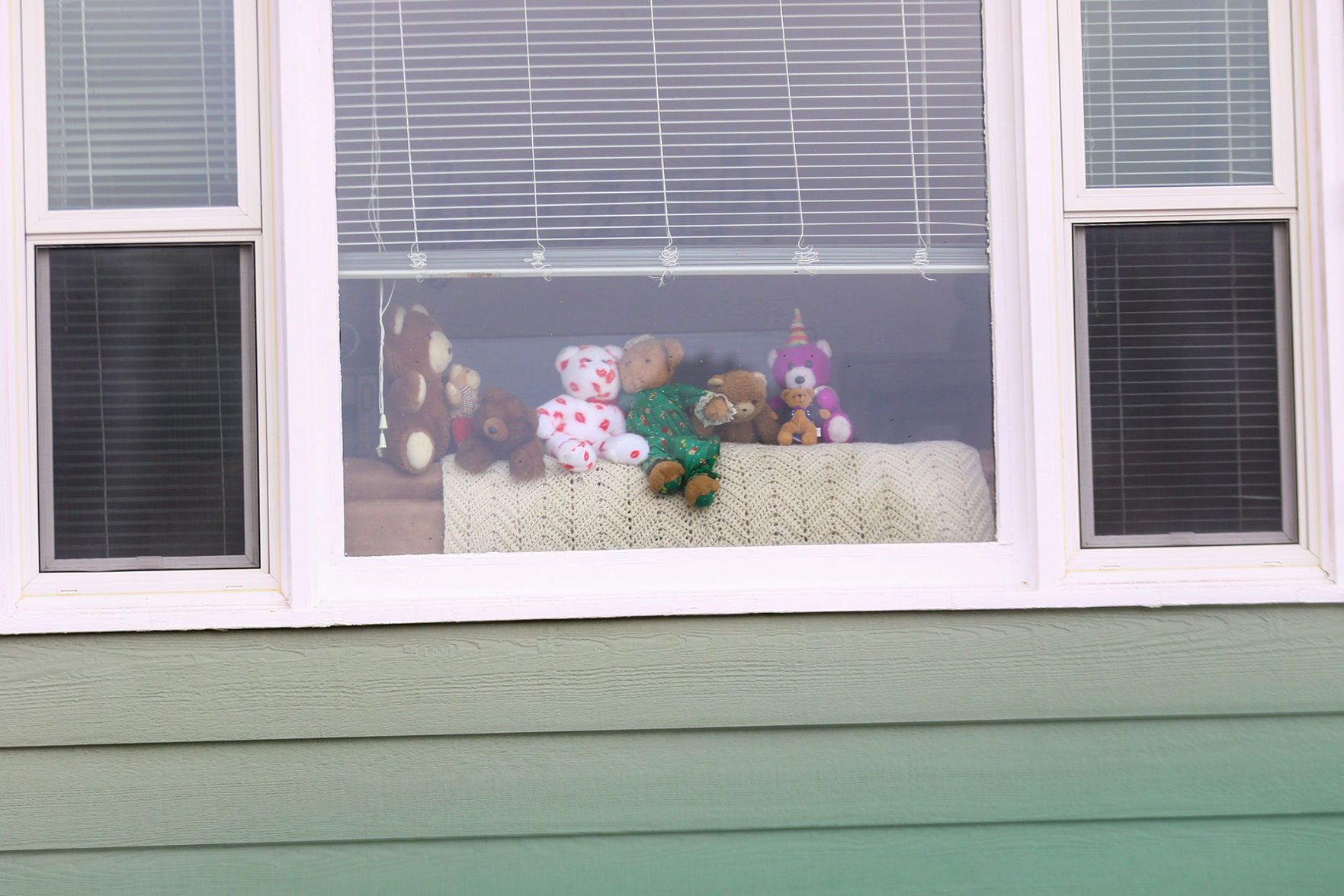 PHOTOS: Bear Hunt